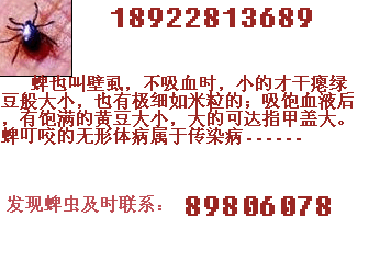 ڝ˾xĳRLU͔ʽ